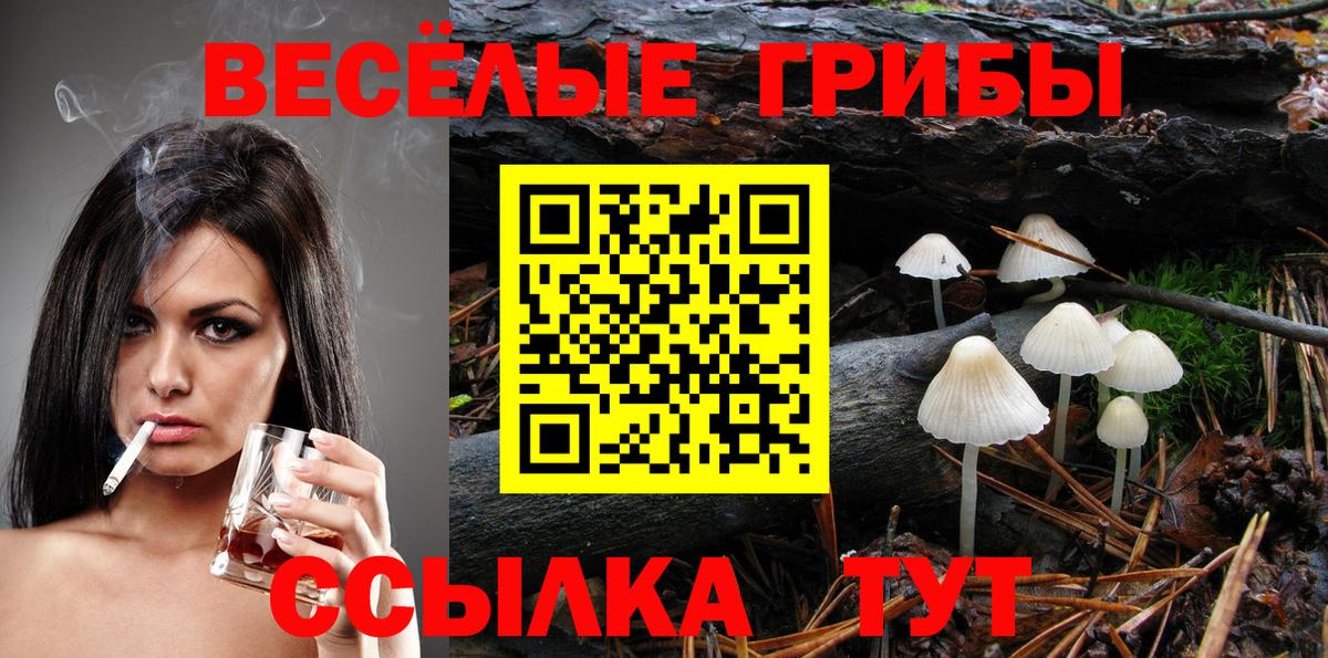 Псилоцибиновые грибы мухоморы  Вход с VPN  Галлюциногенные грибы Psilocybe  Ачинск 